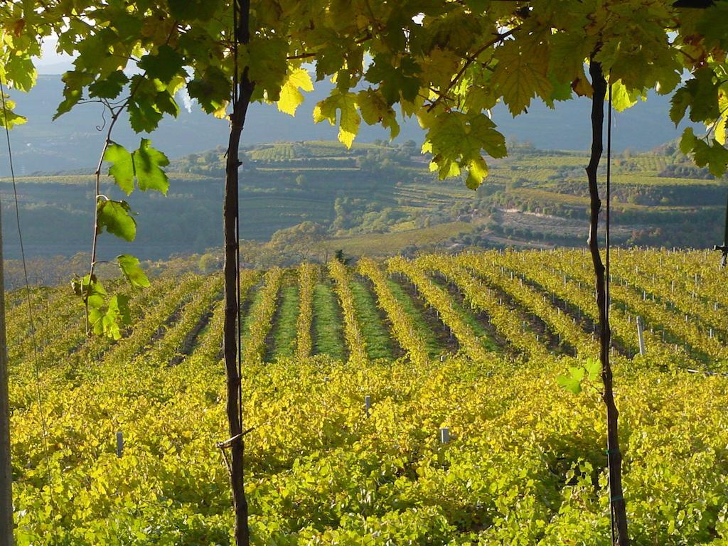 B&B Camignone Franciacorta Passirano Ngoại thất bức ảnh